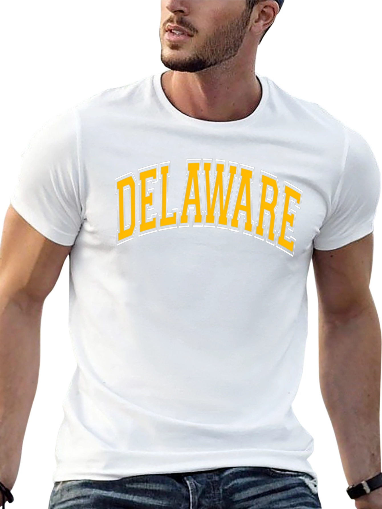 Delaware T-Shirt: Classic State Pride Tee