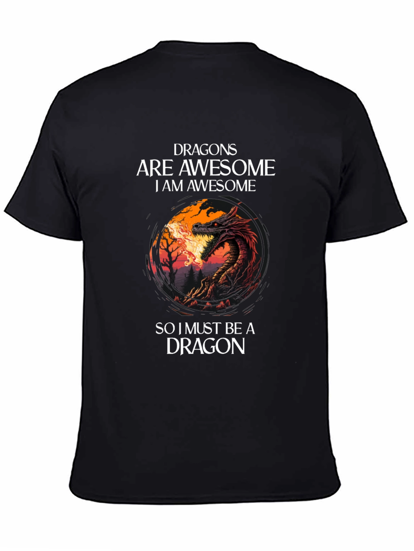 Dragon Are Awesome Black T-Shirt