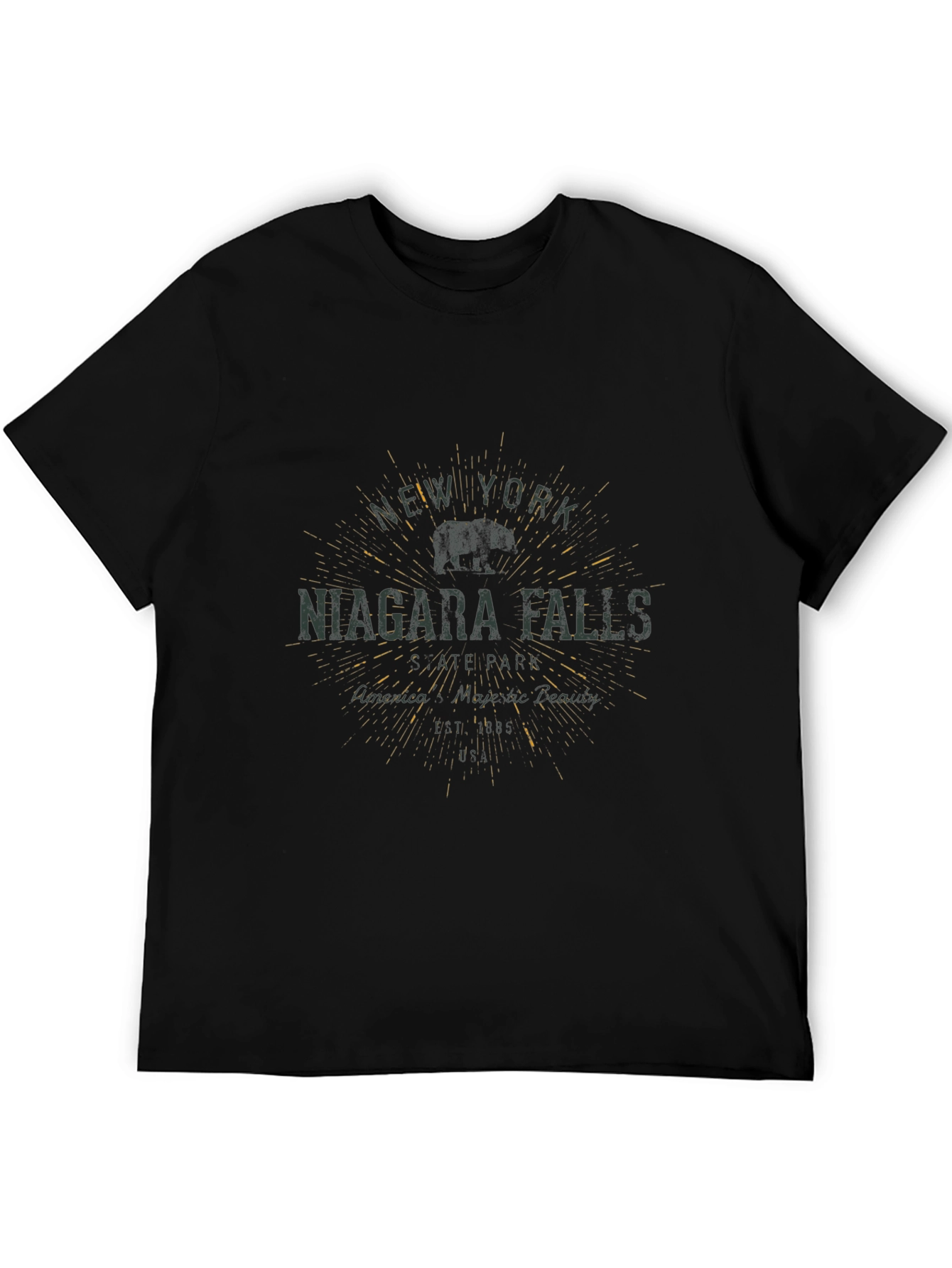 Niagara Falls NY Graphic T-Shirt