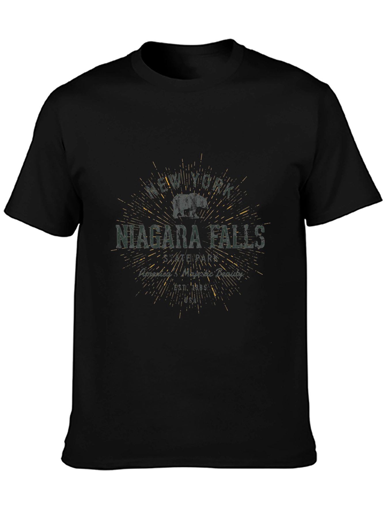 Niagara Falls NY Graphic T-Shirt