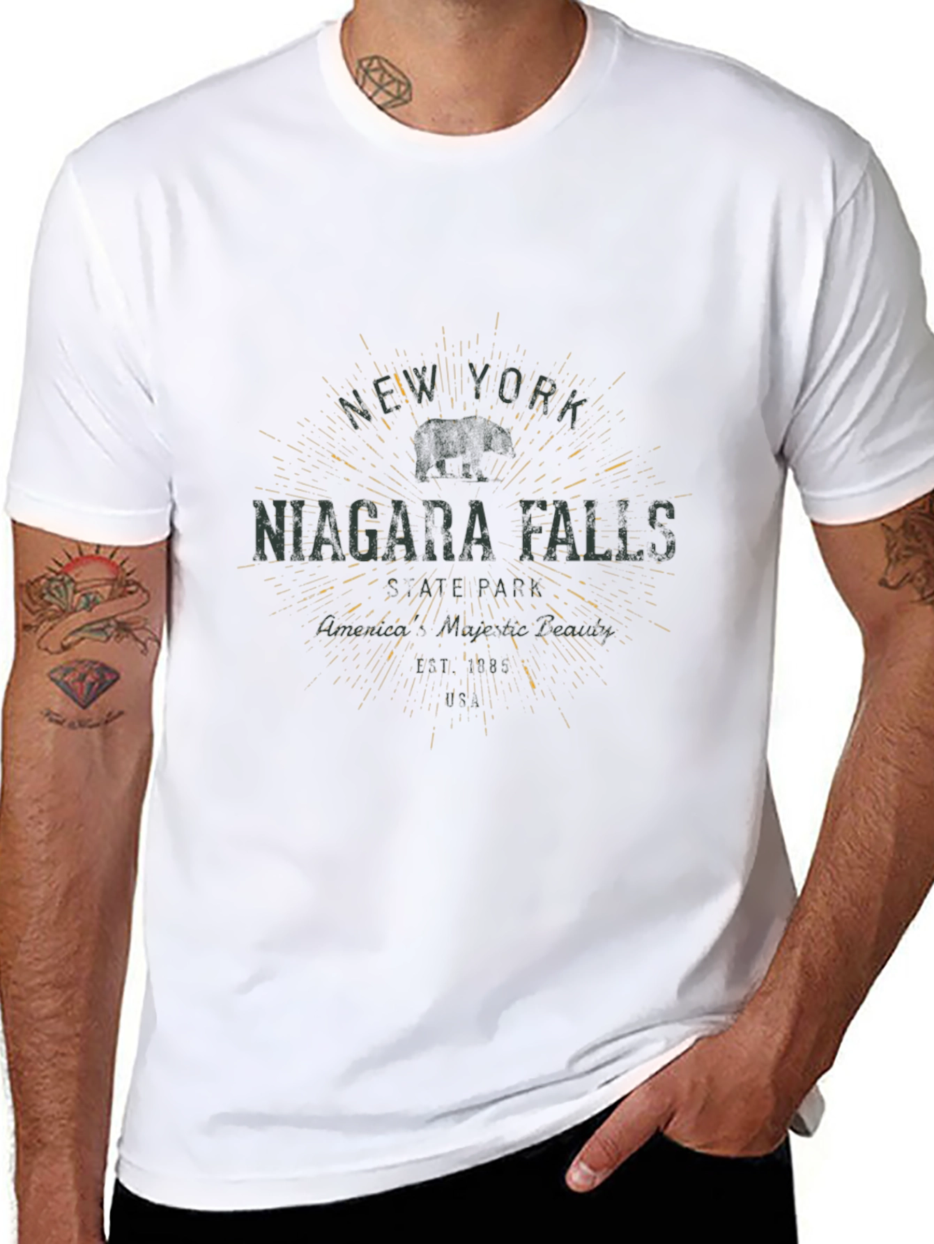 Niagara Falls NY Graphic T-Shirt