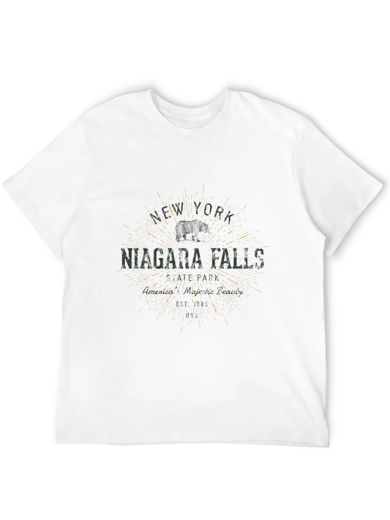 Niagara Falls NY Graphic T-Shirt