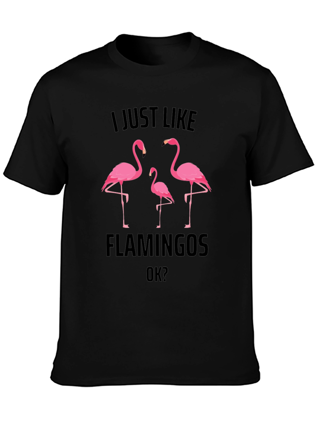 Flamingo Graphic Tee - Mens Black T-Shirt