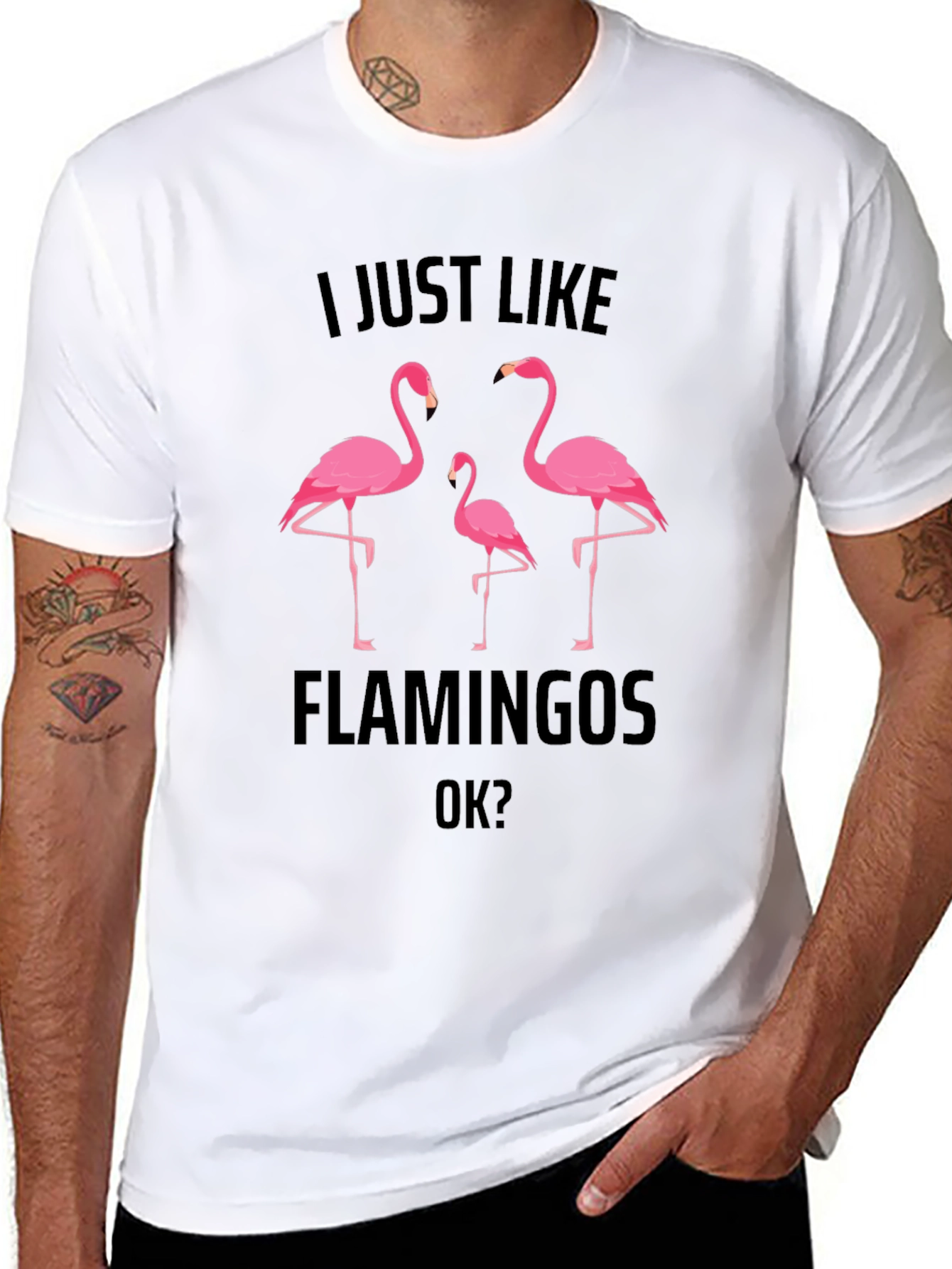 Flamingo Graphic Tee - Mens Black T-Shirt