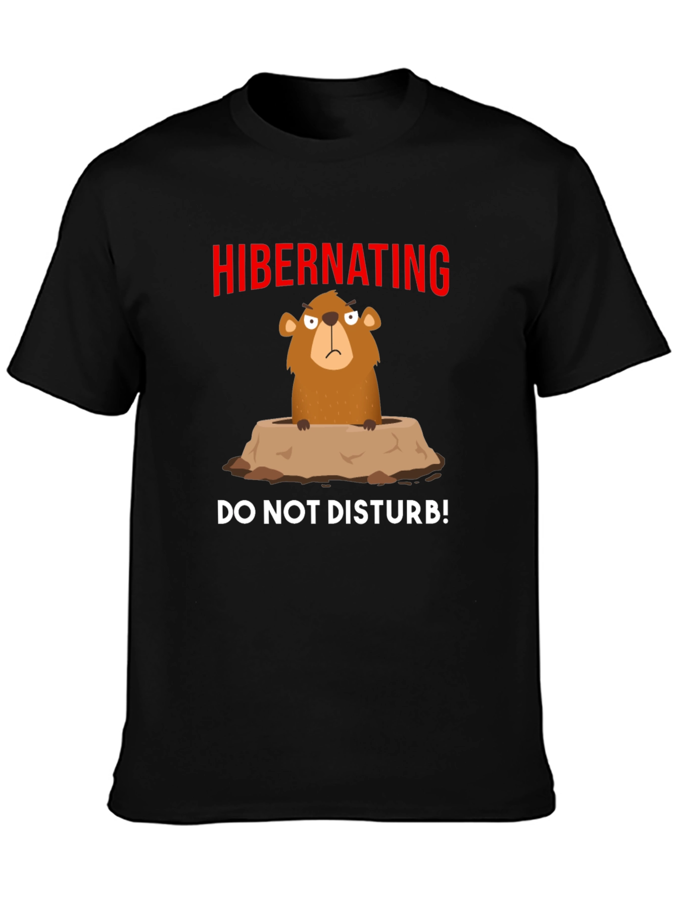 Hibernating Groundhog T-Shirt - Do Not Disturb